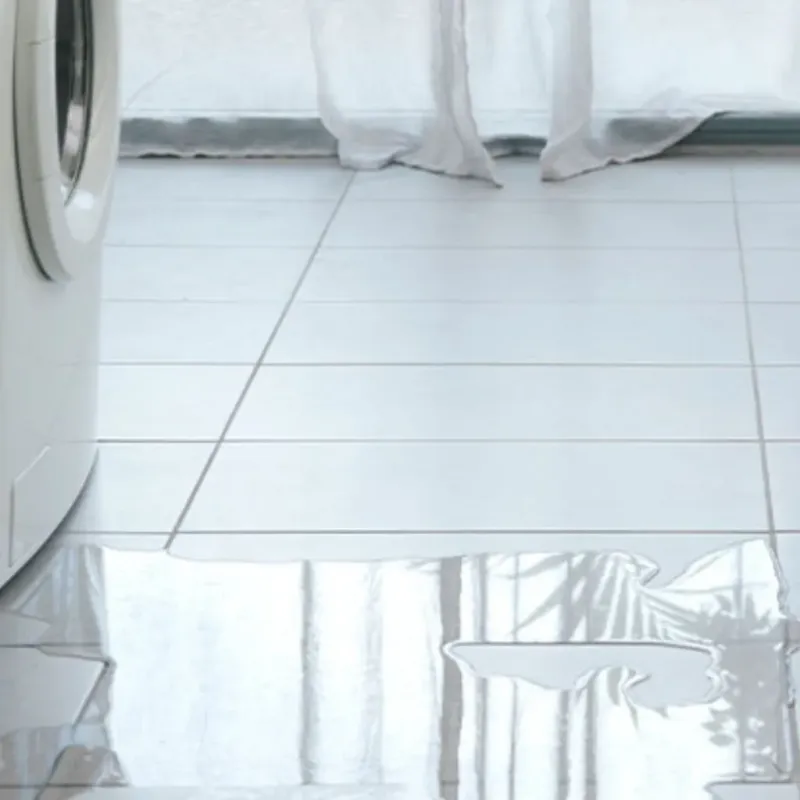 Appliance Leak Cleanup in Sandoval County, NM