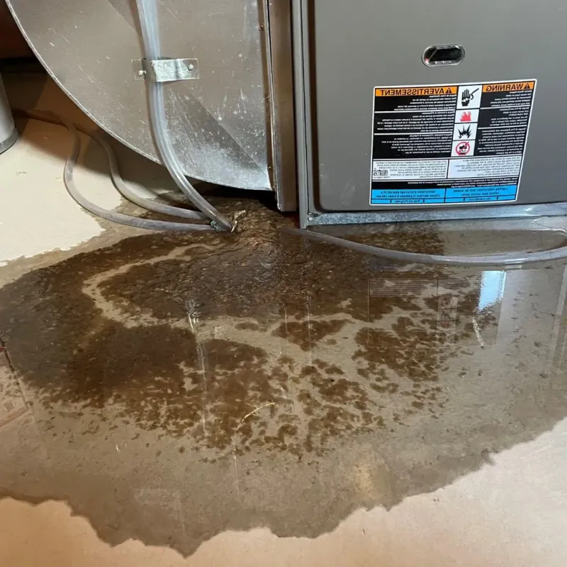 Pipe Burst and Leak Restoration in Sandoval County, NM